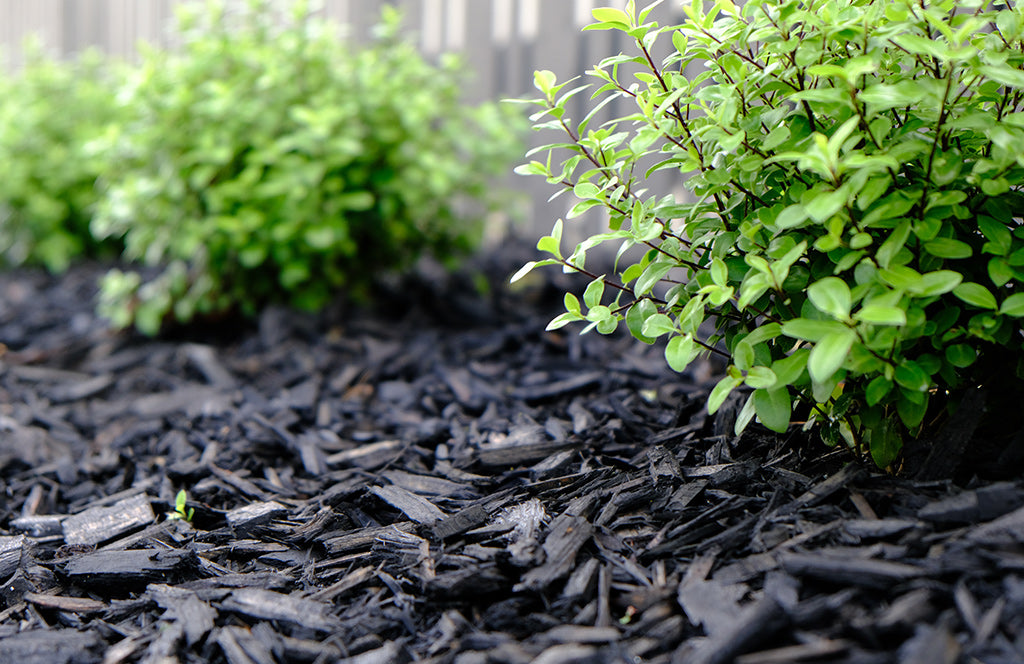 Mulch